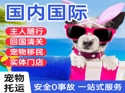 宜昌三峡空运公司国际宠物托运 【国